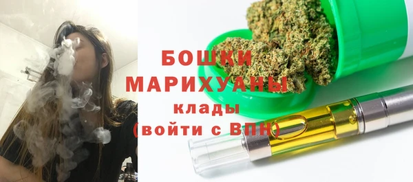ALPHA PVP Коряжма