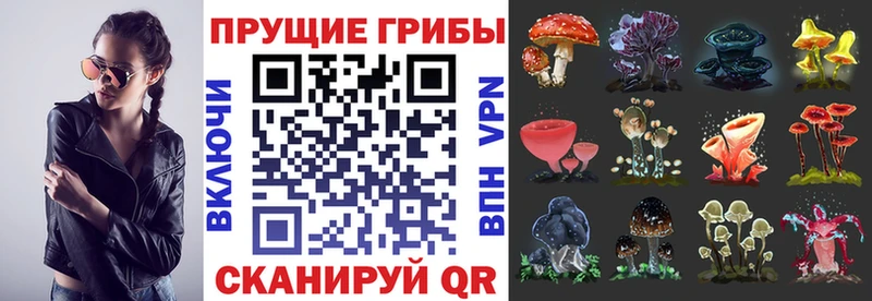 Галлюциногенные грибы MAGIC MUSHROOMS  Купить  Чернушка 